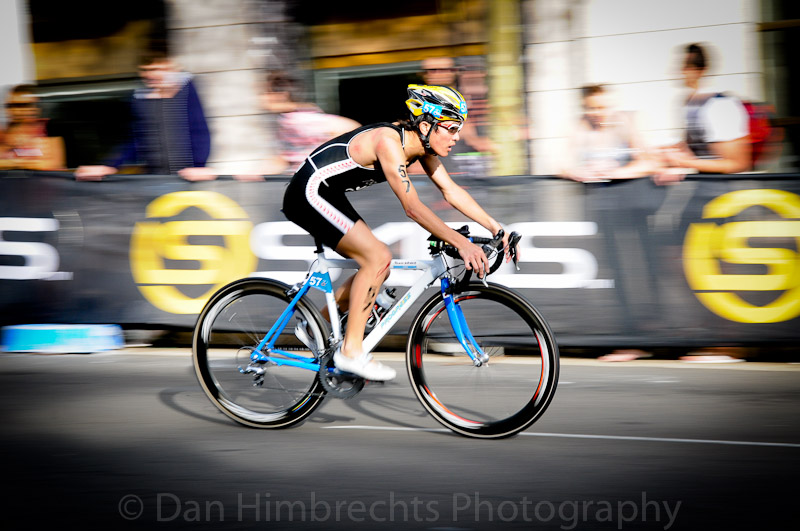 DHP_9325untitled
